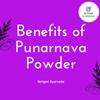 Nxtgen Ayurveda Punarnava Powder | 100g | Boerhavia Diffusa | Pure view 3