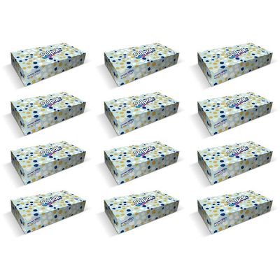 Selpak Mini Facial Tissue Box 3 Ply 70 Sheets Per Box (12)