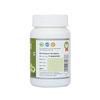 Sri Sri TATTVA shuddhta ka naam Amla-Anti Oxidant,60 Tabs|500Mg(Pack Of 3) view 3