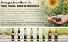 WOW COOKING OILS-100% Pure Organic Extra-Virgin Cold Pressed Coconut Oil (Pet Bottle - 925 ml) view 3