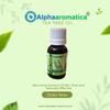 Alphaaromatica Tea Tree Essential Oil 15ml - 100% Pure & Natural for Skin, Hair & Aromatherapy view 2