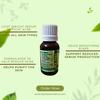 Alphaaromatica Tea Tree Essential Oil 15ml - 100% Pure & Natural for Skin, Hair & Aromatherapy view 3