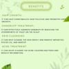 Alphaaromatica Tea Tree Essential Oil 15ml - 100% Pure & Natural for Skin, Hair & Aromatherapy view 4