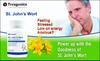 Trexgenics St. JOHNS WORT 500mg Standardized (0.3% Hypericin) Stress, Mood, Mental health support (60 Vcaps) (3) view 3