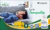 Trexgenics St. JOHNS WORT 500mg Standardized (0.3% Hypericin) Stress, Mood, Mental health support (60 Vcaps) (3) view 4