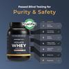 Nutrabay Gold Whey Protein Isolate Powder 25g Protein, 5.9g BCAA per Serving, Easy to Digest, NABL Lab Tested  Muscle Growth & Recovery  1kg, Strawberry Milkshake|100% Authentic Clean Protein view 3