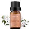 Gardenia Essential Oil 100% Pure, Undiluted, Natural, Organic Aromatherapy Essential Oils 10ML view 1