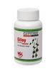 GATTUMAL GILOY-TULSI Tablets 500mg (100 tabs each) view 2
