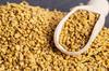 SSKE Fenugreek Seed / Methi 900 g view 4