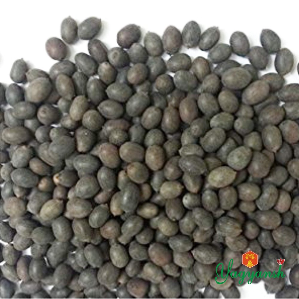 21 Pieces Kamal Gatta Seed/Lotus Seeds/Rosary of Kamal Gatta/Kamalgatta (11 Pieces) yagyansh Puja YPS080