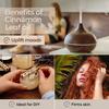 The Premium Nature Cinnamon Leaf Essential Oil - Health Booster for Happier, Sore Free Days - 100% Pure Natural Therapeutic Cinnamon Essential Oil for Aromatherapy Diffuser & Topical Use (10 ML) view 2