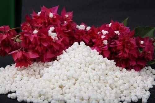 Being Marwari Speciality Prasad Dana ( Sweet Makhana), 400g