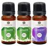 Aatiutik Essential Anti Bacterial Aroma Oil Diffuser for Home Electric and Tlight Diffuser | Home Fragrance | Jasmine and Lavender for Home Office Spa Hotel - Set of 3, 15 ML Each