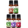 Aatiutik Aroma Oil Rose Lemon Grass Jasmine Lavender Sandalwood of 15ml Each for Aroma Diffuser Home Fragrance