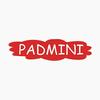 (Kairi Papad) PADMINI's Green Mango Fruit Bar Toffee. view 3