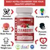 DAILY NUTRA Cranberry Extract 800mg per Serving Support Anti-oxidant, Urinary Tract Health & Kidney Health - 60 Veg Capsule view 3