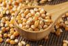 Kitchen Jungle Popcorn Kernel Seeds (900 Grams) view 2