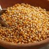 Kitchen Jungle Popcorn Kernel Seeds (900 Grams) view 3