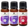 Aatiutik Essential anti bacterial Aroma Oil Diffuser for Home Electric and Tlight Diffuser | Home fragrance | Lavender and Rose for Home Office Spa Hotel - set of 3, 15 ML Each