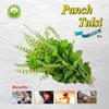 Basic Ayurveda Panch Tulsi Juice (Ras) | Improve Immunity | Skin Health | Maintain Cholesterol Level | Beneficial in Stomach Problem (Panch Tulsi Juice (Ras) 500ml (Pack of 2) view 4