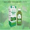 Axiom Bhoomi Amla Juice | Strengthens The Digestive System | Liver Detox Supplement | Rich Supplement with Pure Bhumi Amla Herbs | Certified Product - 500mL view 2