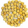 Ayurvedic Paneer Phool (900gms)/ Paneer Dodi/Doda/Withania Coagulans/Indian Rennet by JTC Herbs (Pack of 900 Gms) view 1