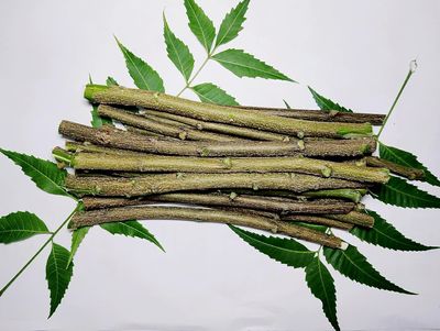 Sunshine Enterprise Ayurvedic Natural Organic Neem Datun, manual Toothbrush Nim Tree Twigs Chew Sticks for Brushing Teeth Removes Bad Breath, Relieve Tooth Ache (9 inch)- for adults,Pack of 20 Pieces