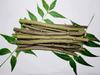 Sunshine Enterprise Ayurvedic Natural Organic Neem Datun, manual Toothbrush Nim Tree Twigs Chew Sticks for Brushing Teeth Removes Bad Breath, Relieve Tooth Ache (9 inch)- for adults,Pack of 20 Pieces view 1