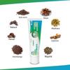 Jagat Devsutra Dr. Recommended Ayurvedic HERBAL Fresh Mint Flavour Toothpaste Combo Pack Offer - 100% Natural Teeth Whitening Formula, No Fluoride & No Artificial Colours - Pack of 4 (50g X 4) view 2