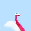 Legendog 3PCS Women Razor Universal Professional Smooth Portable Safety Shaving Razor Manual Razor view 2