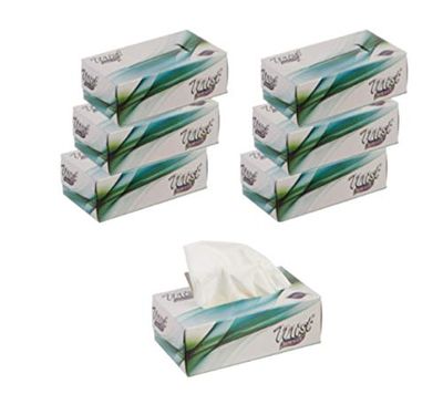 Mist Ultra Soft White 2 Ply Face Tissue Napkin Paper - 100 Pulls (Pack of 6 Box)