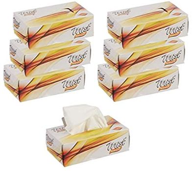 MDN Mist Ultra Soft White 2 Ply Facial Tissue Paper Napkin for Office and Home Disposable Facial Tissues (100 Pulls Each, Pack of 6)