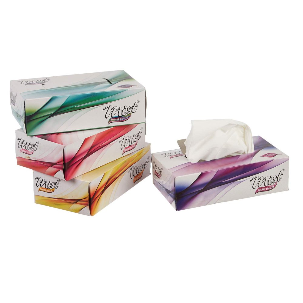 MDN Mist Ultra Soft White 2 Ply Facial Tissue Paper Napkin for Office Home Disposable Face Tissue (100 Pulls Each, Pack of 4)