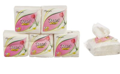 Mist 2 Ply Ultra soft hygienic absorbent strength and natural value white Tissue Paper - Pack of 6