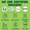 TummyFriendly Foods Certified Organic Sprouted Sathu Maavu Mix | Made of Sprouted Ragi, Whole Grains, Pulses & Nuts | Organic Baby Food For 8+ Months Baby | Rich in Protein & healthy-Fat MultiGrain Cereal Health Mix | Sattu Real Food for babies kids  view 4