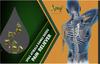 Spag Herbal atibala indian mallow abutilon indicum 150gms Pack of 1 view 3