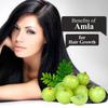 Nuerma Science Fresh Amla Powder (Amalaki, Indian Gooseberry) Rich In Antioxidant Vitamin C|Supports Immunity, 100 Gm view 3