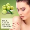 Nuerma Science Fresh Amla Powder (Amalaki, Indian Gooseberry) Rich In Antioxidant Vitamin C|Supports Immunity, 100 Gm view 4