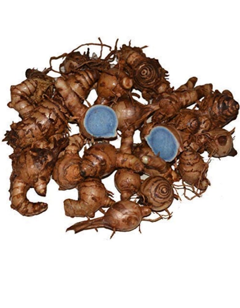 Kali haldi, Black Turmeric Kali haldi/Kali Haldi Turmeric (Black) 21 Pc, Kali haldi/Kali hald for puja, Kali haldi Products, Black Turmeric, Black Turmeric, karumanjal