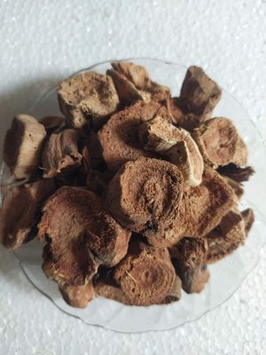 Ambe Ayurveda - Semal Musli Root - Semal Kand - 900gm