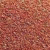 Kalyan Gems Whole Ragi Grain 1kg Finger Millet Seed Natural view 3