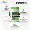 Vedcare Herbal Fenugreek Powder (Methi Powder) (100% Pure & Natural), 200gm view 4