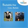 VETENEX Fat Booster Plus - Bypass Fat Energy, Rumen Fat & Milk Boost Powder Supplement for Cattle, Cows, Buffalo and Farm Animals - 5 KG view 3