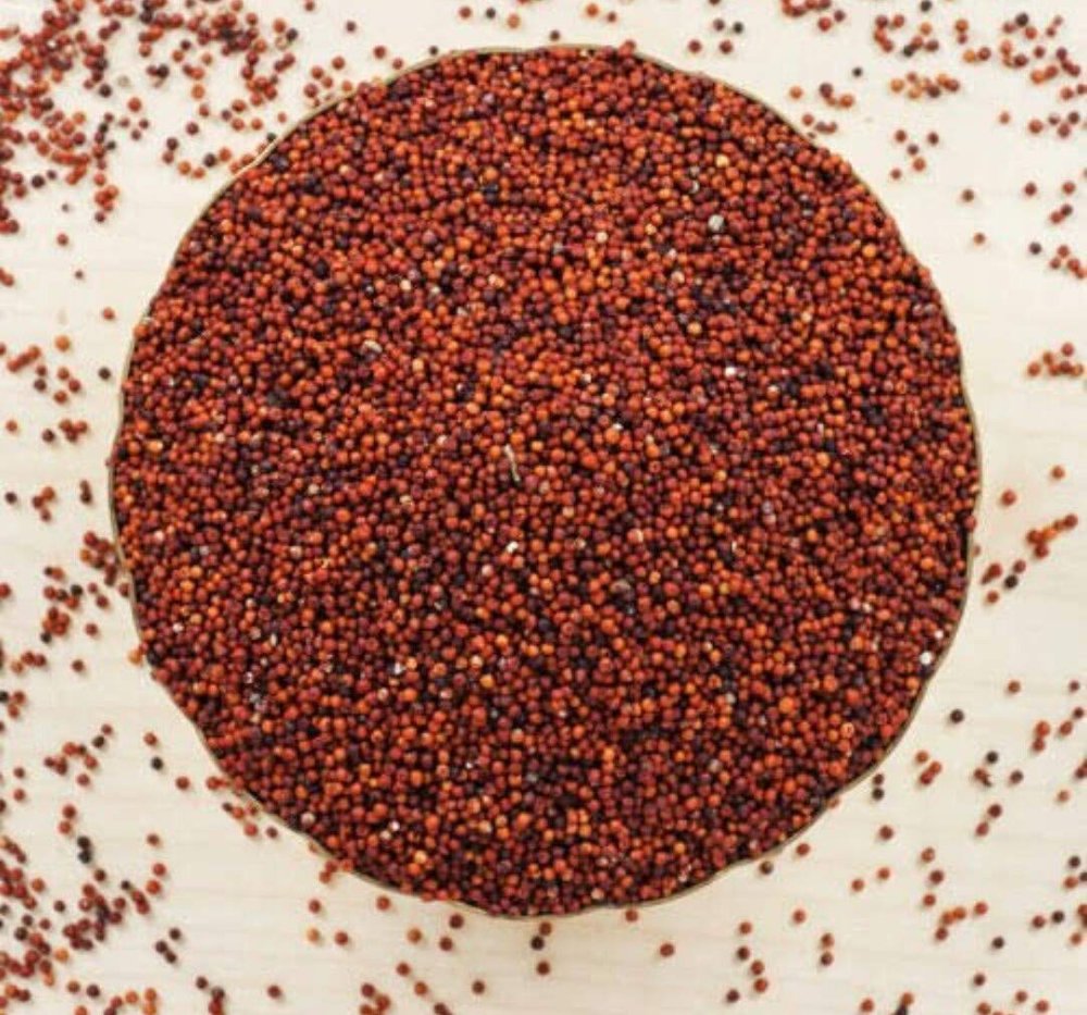 LJL Traders Ragi Whole Grain / Nachni / Finger Millet / Keppa / Kurumpullu - 950gm