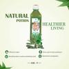 Aloevera Cod-P 500ml Pack of 2 | Ayurvedic Juice | WHO GLP GMP ISO Certified Natural Product | No Added Sugar | view 3