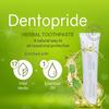 Dentopride Herbal Toothpaste 100 gm | With Akarkara, Babool, Bakul |Paraben free | (100 gm - Pack Of 1) view 3
