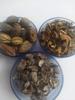 Ambe Ayurveda - Combo Triphala - Badi Harad - Baheda - Amla Raw - 200gm each view 1
