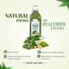 Axiom Pure Tulsi Giloy Stem Juice 500 ml | Herbal Juice for Healthy Life | Immunity Booster | WHO GMP, GLP Certified Product | Pack of 2 view 4