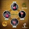 Muttikulangara VAIDYASALA, Ayurvedic Oil For Pain Relief -500 ml view 3