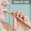 2 Pcs Al Falah Siwak Meswak Miswak Miswak Arak Peelu Al Falah Chewing Stick Natural Flavored Organic Herbal Brush Teeth Cleaning Toothbrush Vacuum Sealed Whitening Breath Freshener Thirty Tooth Sticks view 4